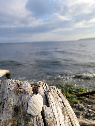 Park «Marine View Park», reviews and photos, 20945 Marine View Dr SW, Normandy Park, WA 98166, USA