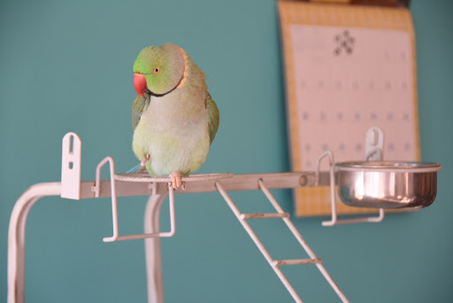 Pet Supply Store «Animal House Pet Supplies», reviews and photos, 733 Phillips Blvd, Sauk City, WI 53583, USA