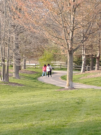 Park «Hoosier Grove Park», reviews and photos, 700 W Irving Park Rd, Streamwood, IL 60107, USA