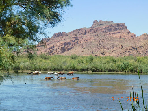 Country Club «Red Mountain Ranch Country Club», reviews and photos, 6425 E Teton Cir, Mesa, AZ 85215, USA