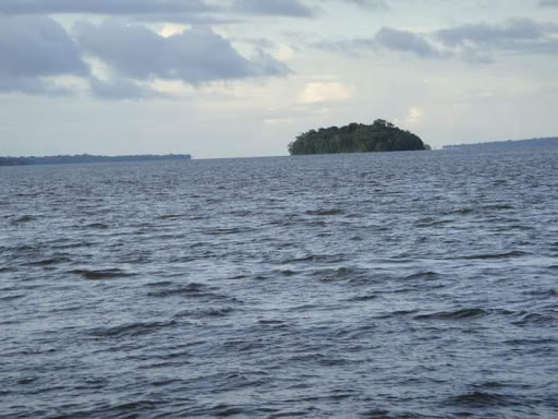 Travel Agency «Yulini Travel Agency», reviews and photos, 10411 122nd St, Jamaica, NY 11419, USA