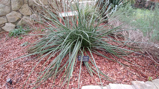 Botanical Garden «Zilker Botanical Garden», reviews and photos, 2220 Barton Springs Rd, Austin, TX 78746, USA