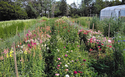 Meguma Meadows Flower Farm