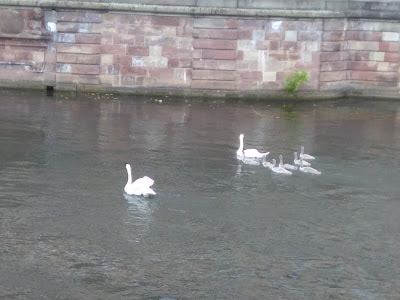 Appart'hôtel "Sur les quais" à Strasbourg