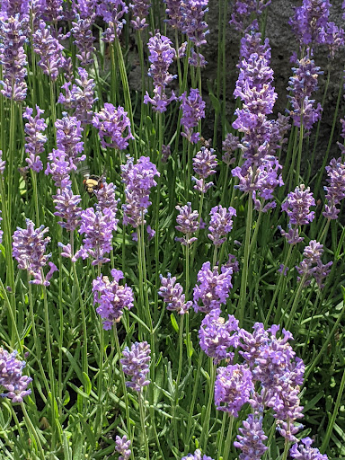 Water Park «Slidewaters ~ Lake Chelan Waterpark», reviews and photos, 102 Waterslide Dr, Chelan, WA 98816, USA