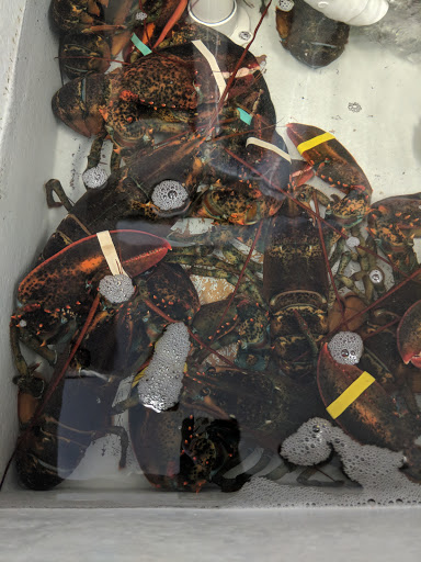 Seafood Market «Bob Lobster», reviews and photos, 49 Plum Island Turnpike, Newbury, MA 01951, USA