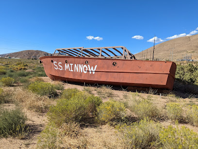 The S. S. Minnow