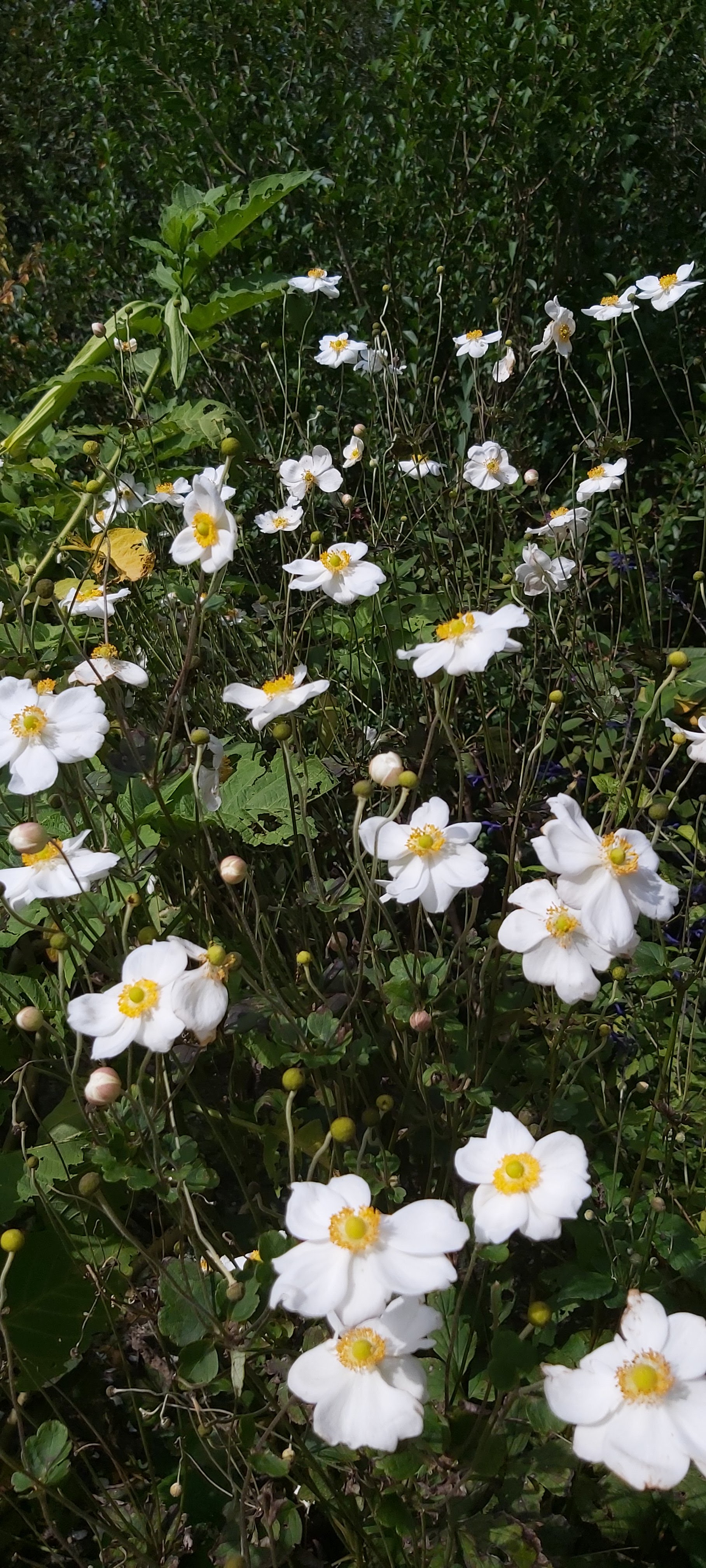 Photo n° 22 de l'avis de Laetitia.. fait le 10/10/2020 à 16:16