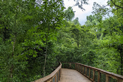 BREC's Bluebonnet Swamp Nature Center