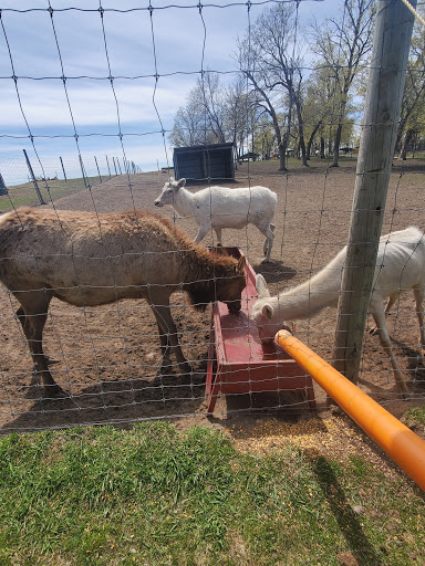 Zoo «Trowbridge Creek Zoo», reviews and photos, 50622 Co Rd 17, Vergas, MN 56587, USA