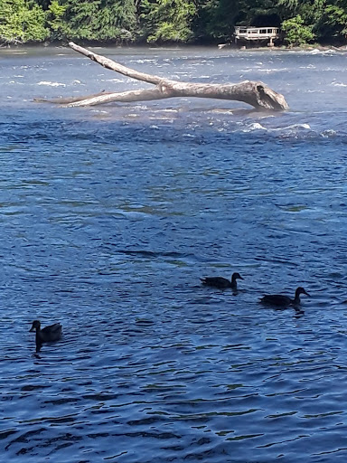 Park «Jones Bridge Park», reviews and photos, 4901 E Jones Bridge Rd, Peachtree Corners, GA 30092, USA