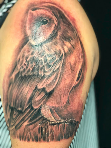 Explore latin phrases tattoo ideas, creative tattoo ideas in Greenfield, available at Tattoos In Time Studio