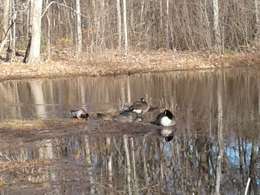 Park «Shedd Park», reviews and photos, 453 Rogers St, Lowell, MA 01852, USA