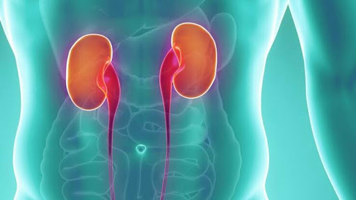 Kidney Care Clinic, Nephrologist in Delhi, Renal Transplant, Hypertension Specialist, Kidney Biopsy, Kidney Disease, Best Kidney Stone Treatment