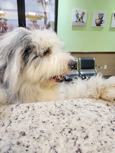 Waggin Tails Pet Care Animal Clinic. image