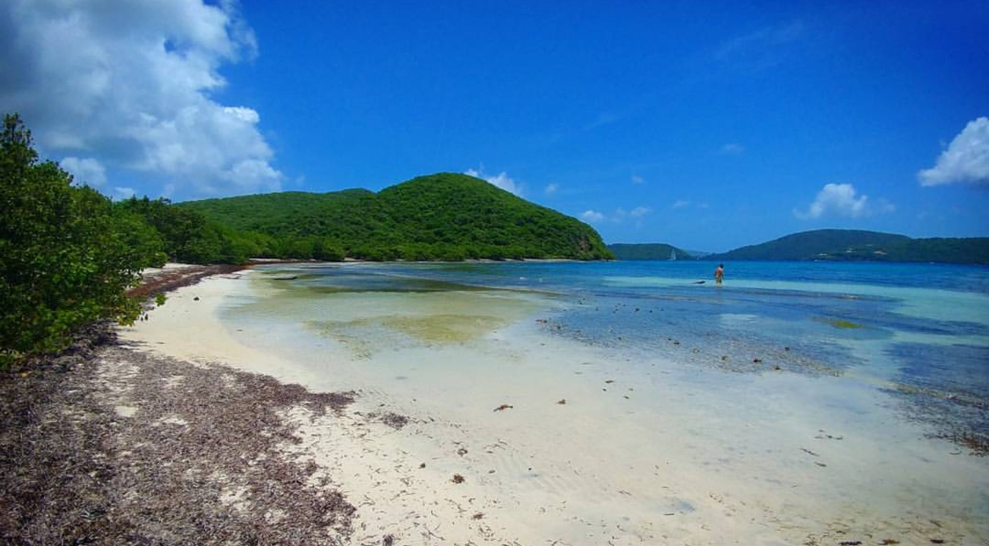 Foto di Brown Bay Beach con una superficie del sabbia luminosa