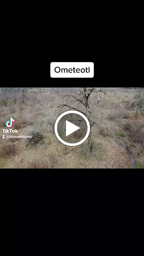 Nature Preserve «Foster Floodplain Natural Area», reviews and photos, 10602 SE Foster Rd, Portland, OR 97266, USA