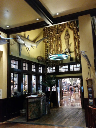 Sporting Goods Store «Bass Pro Shops», reviews and photos, 1133 N Dobson Rd, Mesa, AZ 85201, USA