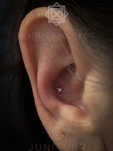 Explore women's forearm tattoo ideas, creative tattoo ideas in Casper, available at High Plains Adornment