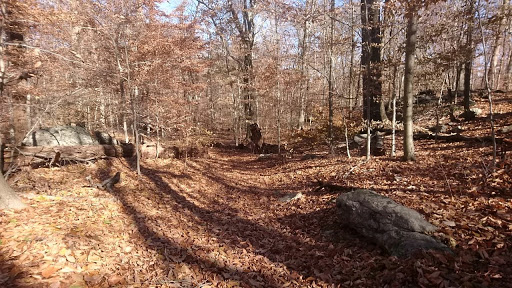 Golf Course «Saxon Woods Golf Course», reviews and photos, 315 Mamaroneck Rd, Scarsdale, NY 10583, USA