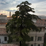 Photo n°1 de l'avis de David. fait le 08/05/2024 à 09:17 sur le  Hotel Marta à Forli