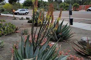 Rice Canyon Demonstration Gardens image