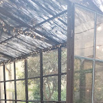 Photo n°4 de l'avis de Fedina.e fait le 17/03/2024 à 15:19 sur le  Serre Torrigiani in Piazzetta à Florence