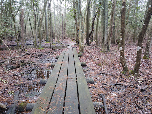 Nature Preserve «Eldora Nature Preserve», reviews and photos, 2350 NJ-47, Delmont, NJ 08314, USA