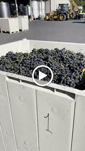 Winery «Valenzano Family Winery», reviews and photos, 1090 U.S. 206, Shamong, NJ 08088, USA