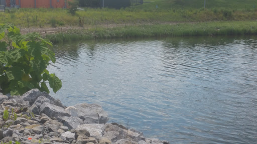 Park «Bush Terminal Piers Park», reviews and photos, Marginal St. & 43rd Street, Brooklyn, NY 11232, USA