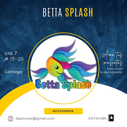 betta splash