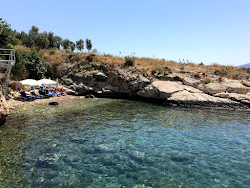 Fotografie cu Palm Beach cu o linie de coastă dreaptă