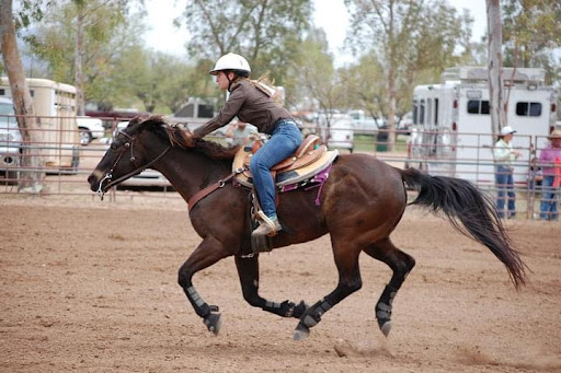 Norielle James Horsemanship and Training LLC