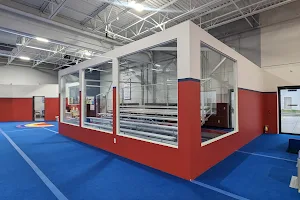 American Gymnastics Romeo image