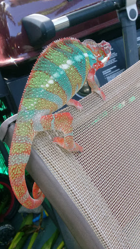 Pet Store «Hooked On Fish And Corals», reviews and photos, 2576 W 84th St, Hialeah, FL 33016, USA