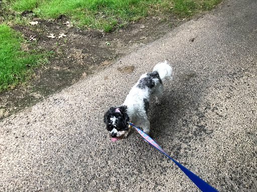 Golf Club «Fairway Golf Course», reviews and photos, 750 Country Club Ln, Warrington, PA 18976, USA