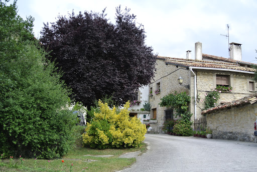 Religiosas del Sagrado Corazón, Institución educativa privada en Zabaldika,Navarra