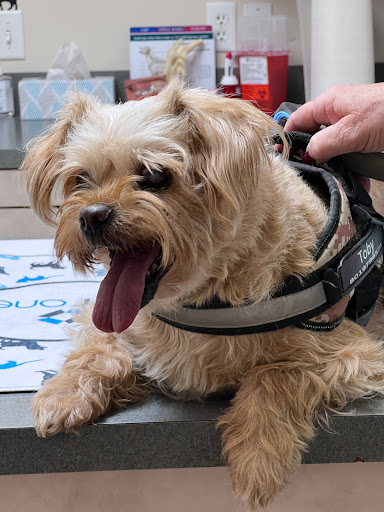 Fairfield Veterinary Hospital image