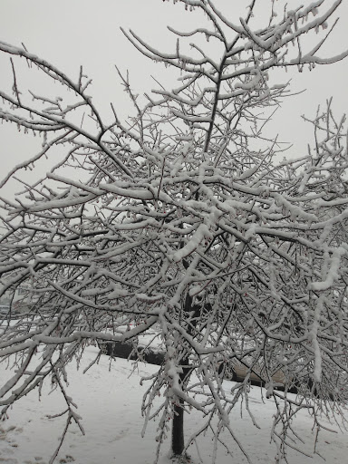 Movie Theater «AMC Grand Prairie 18», reviews and photos, 5311 West American Prairie Drive, Peoria, IL 61615, USA