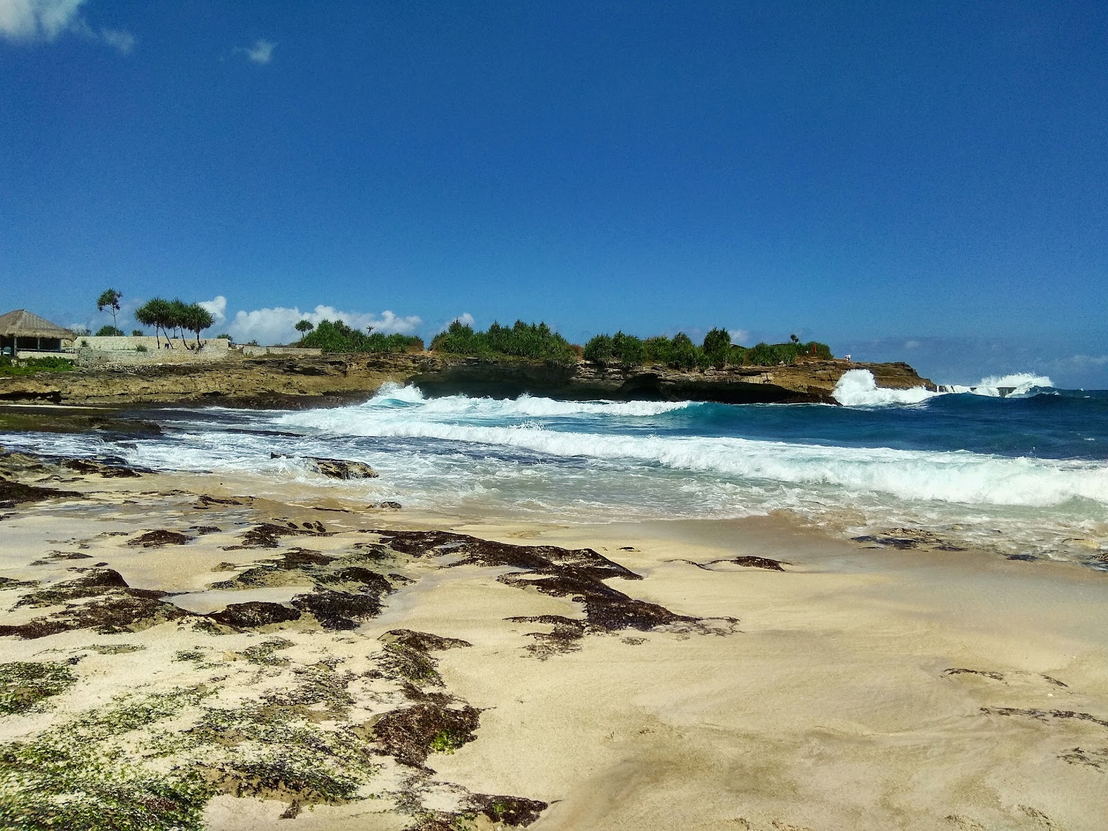 Sandy Bay Beach photo #6