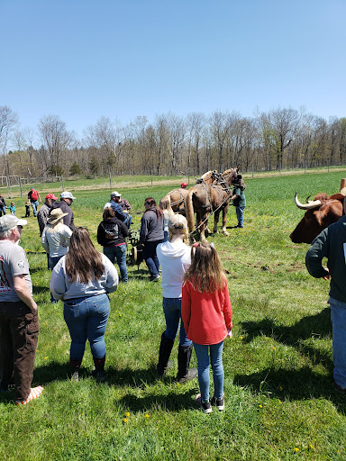 Produce Market «Saunderskill Farms», reviews and photos, 5100 US-209, Accord, NY 12404, USA