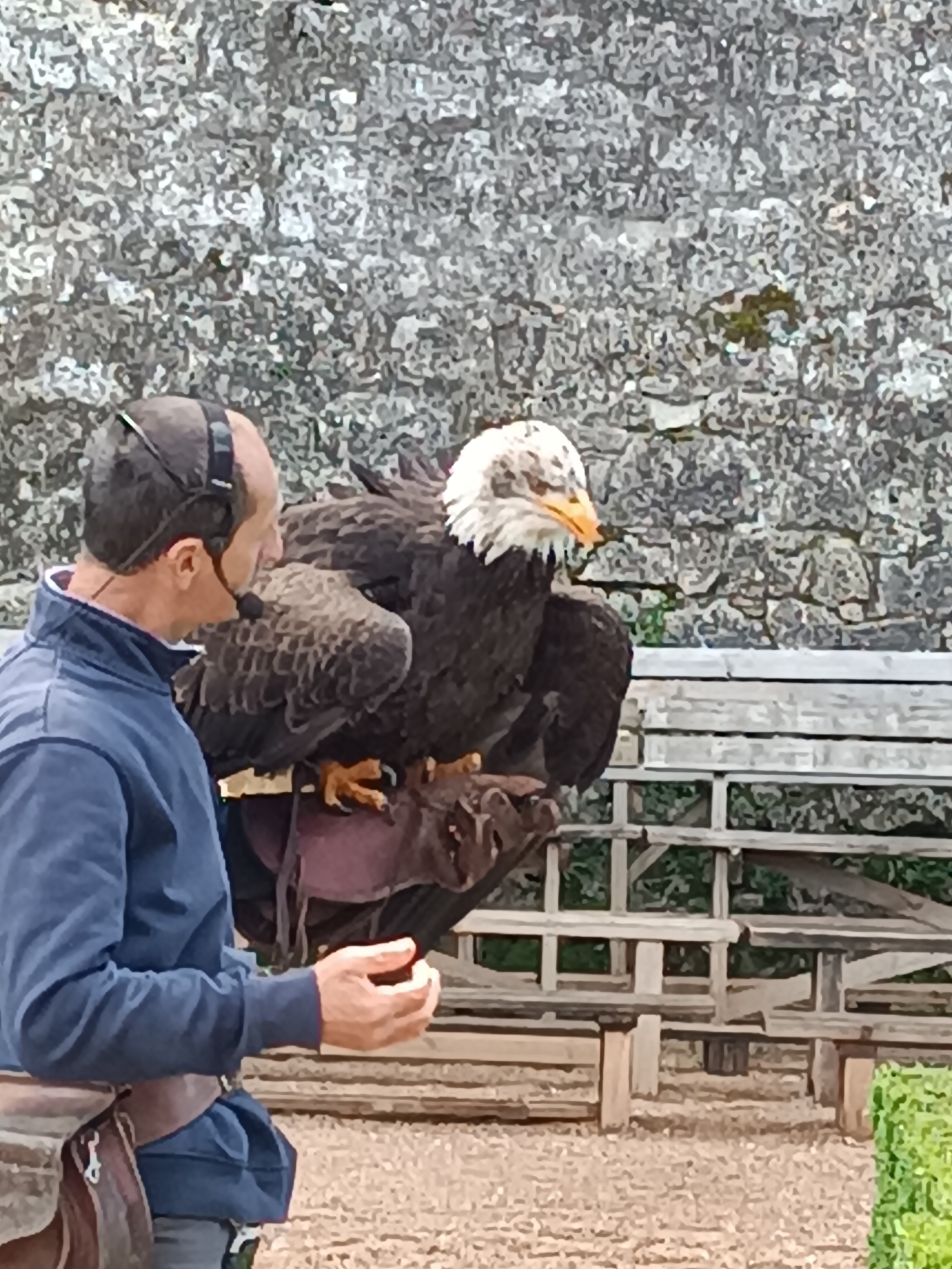 Photo n° 42 de l'avis de Nouredine.b fait le 17/05/2023 à 14:29