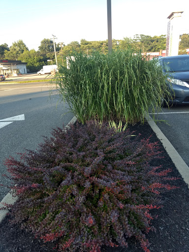 Filipino Restaurant «Manila Central Market & Restaurant», reviews and photos, 5101 NJ-42, Blackwood, NJ 08012, USA