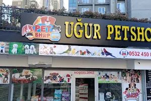 Uğur Petshop&pet kuaför image