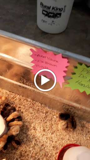 Department Store «Rural King», reviews and photos, 2947 S Washington St, Kokomo, IN 46902, USA