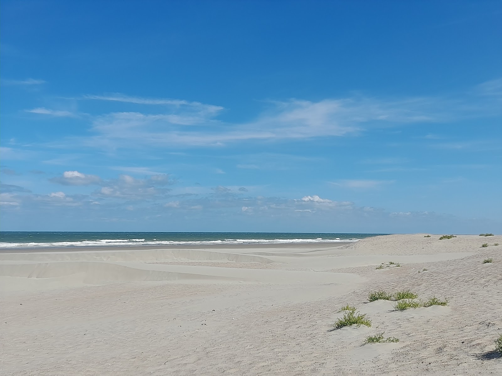 Plage du Braek'in fotoğrafı vahşi alan