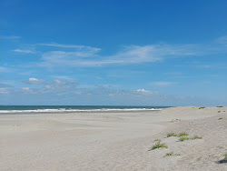 Plage du Braek'in fotoğrafı vahşi alan
