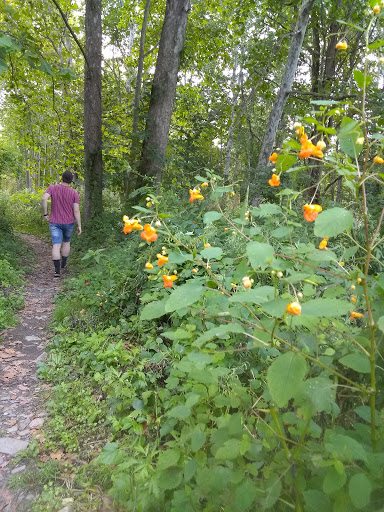 Nature Preserve «Sweedler and Thayer Preserves», reviews and photos, 10 Townline Rd, Ithaca, NY 14850, USA