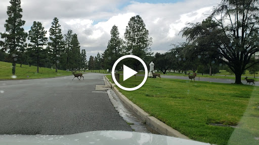 Memorial Park «Forest Lawn - Hollywood Hills», reviews and photos, 6300 Forest Lawn Dr, Los Angeles, CA 90068, USA