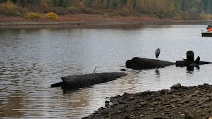 Maddax Woods - photo 98